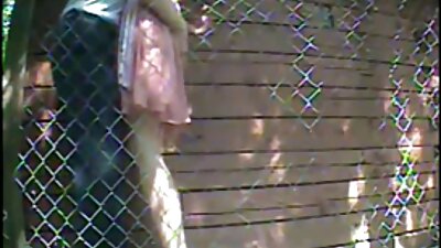 videos tetonas cerdas