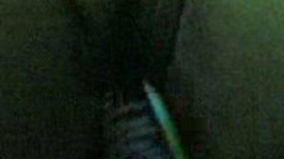 videos cerdas xxx